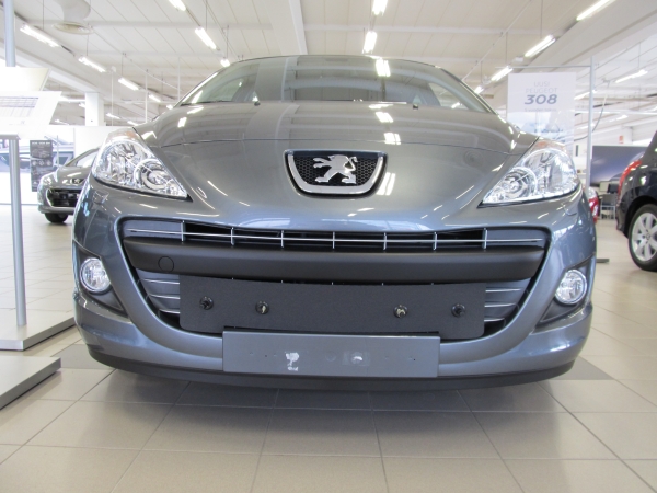 Trim/Protection Strip, radiator grille Peugeot 307 2006-2009