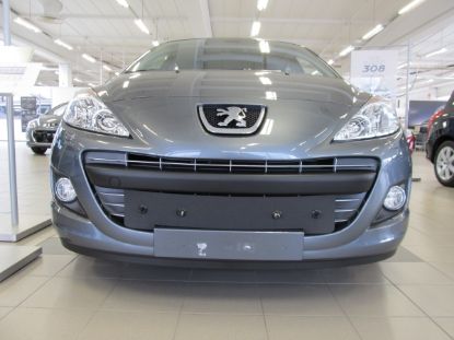 Trim/Protection Strip, radiator grille Peugeot 307 2006-2009