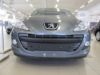 Trim/Protection Strip, radiator grille Peugeot 307 2006-2009