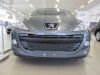 Trim/Protection Strip, radiator grille Peugeot 307 2006-2009