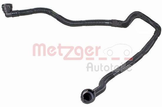 Radiator Hose TESLA 1077595-00-C
