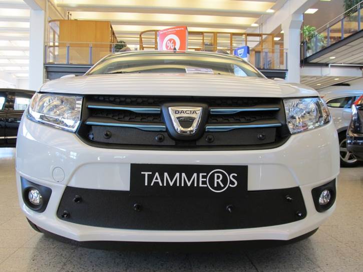 Trim/Protection Strip, radiator grille Dacia Logan MCV 2013-2016