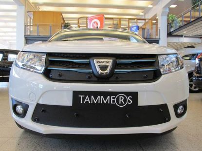 Trim/Protection Strip, radiator grille Dacia Logan MCV 2013-2016