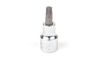 Socket Wrench Insert, oil drain plug TORX T55