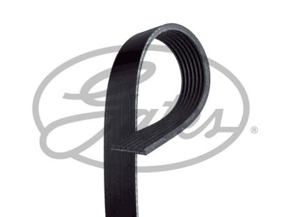 V-Ribbed Belt 7DPK1360-CON ( CONTI )