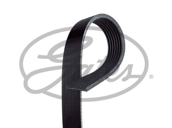V-Ribbed Belt 7DPK1360-CON ( CONTI )