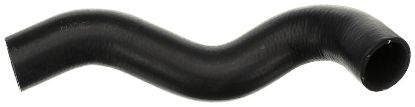 Radiator Hose FORD USA Excursion/F-Series 3C3Z-8260-AC Radiator Hose FORD USA Excursion/F-Series 3C3Z-8260-AC