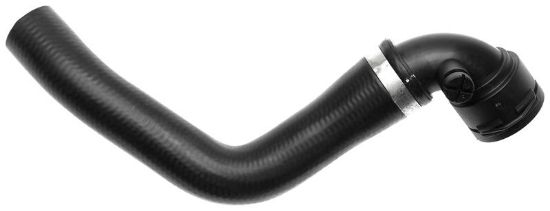 Radiator Hose Jaguar