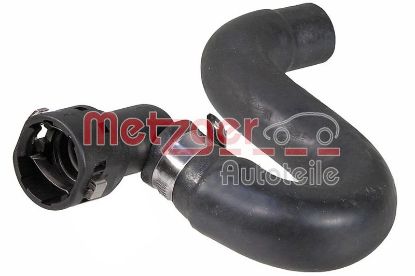 Radiator Hose FIAT 51805836