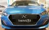 Trim/Protection Strip, radiator grille Hyundai i30 Fastback 2018-