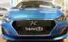 Trim/Protection Strip, radiator grille Hyundai i30 Fastback 2018-