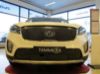 Trim/Protection Strip, radiator grille Kia Sorento 15-
