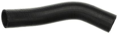 Radiator Hose JEEP Cherokee 52079703AA