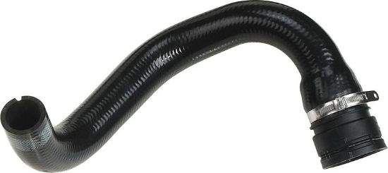 Radiator Hose Alfa Romeo