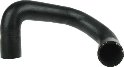 Radiator Hose Mini