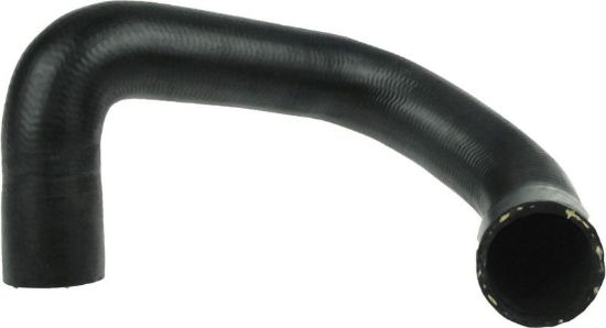 Radiator Hose Mini