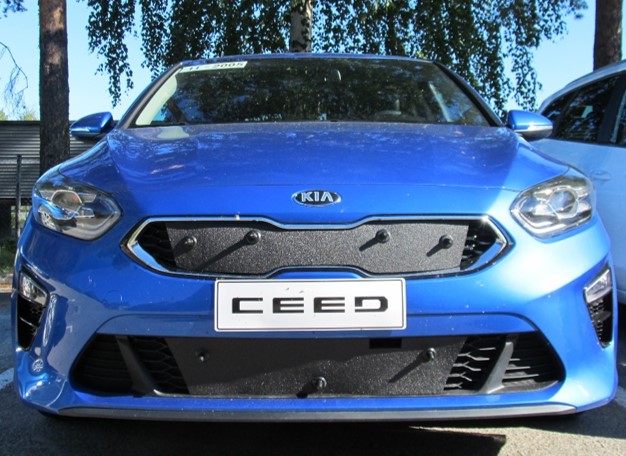 Trim/Protection Strip, radiator grille Kia Ceed 2019-