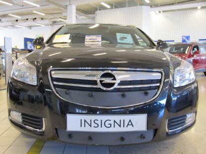 Trim/Protection Strip, radiator grille Opel Insignia 2010-2013