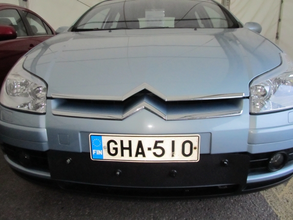 Trim/Protection Strip, radiator grille Citroen C5 2005-2007