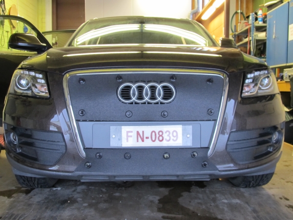 Trim/Protection Strip, radiator grille Audi Q5 2008-2012