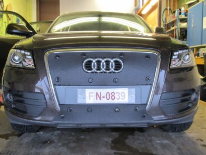 Trim/Protection Strip, radiator grille Audi Q5 2008-2012