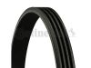 V-Ribbed Belt 4PK1022EL-CONT
