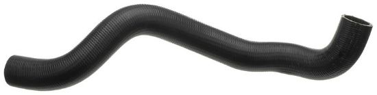 Radiator Hose FORD USA 4L3Z 8286-BC