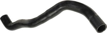 Radiator Hose Renault Radiator Hose Renault