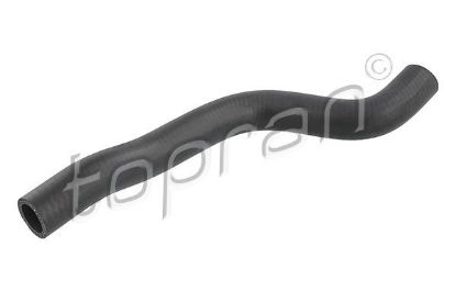 Radiator Hose VAG