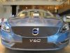 Trim/Protection Strip, radiator grille Volvo V60 2014- (ei CWAB)