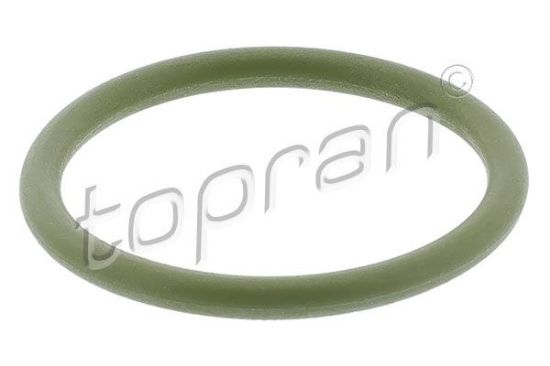 Gasket, coolant flange VAG-Normteile