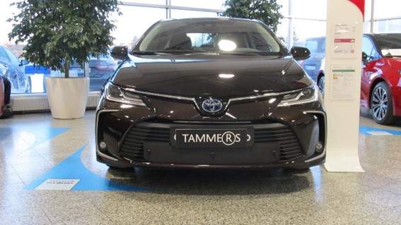 Trim/Protection Strip, radiator grille Toyota Corolla sedaan 19-