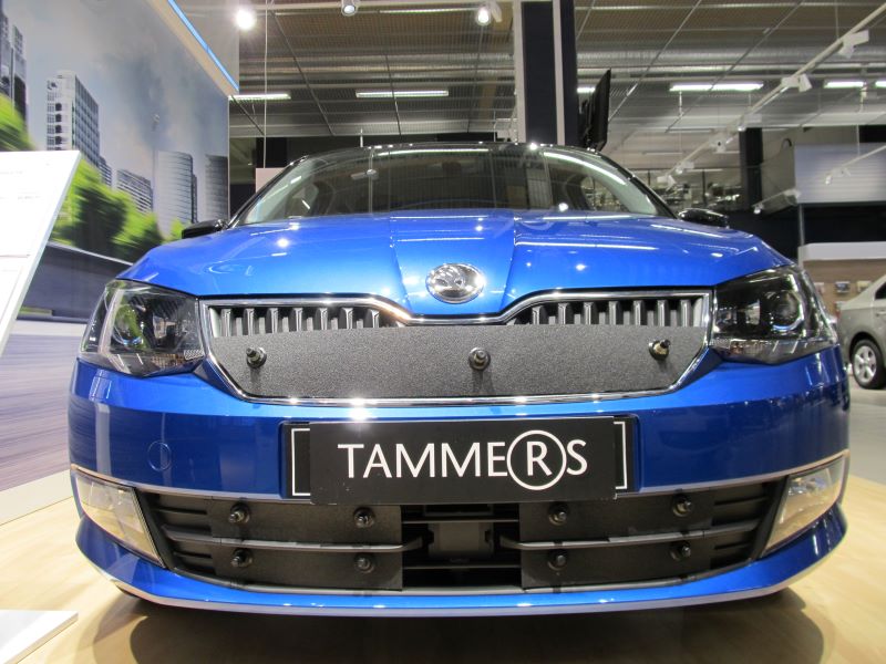 Trim/Protection Strip, radiator grille Skoda Fabia 15-19