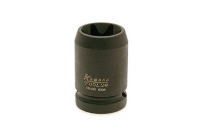 Socket Wrench Insert TORX E24, jõu