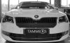 Trim/Protection Strip, radiator grille Skoda Superb 2015-