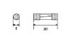 Fuse 5x20mm 20A SLOW (t) 10tk