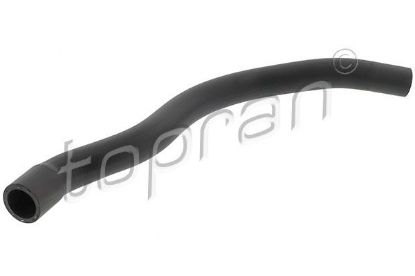 Radiator Hose VAG