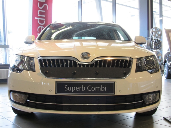 Trim/Protection Strip, radiator grille Skoda Superb Greenline 2013-2015