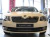 Trim/Protection Strip, radiator grille Skoda Superb Greenline 2013-2015