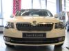 Trim/Protection Strip, radiator grille Skoda Superb Greenline 2013-2015
