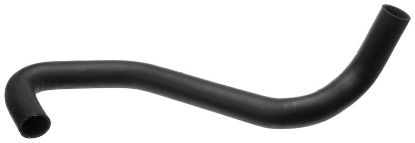 Radiator Hose FORD USA 1C3Z8286CA