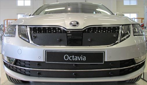Trim/Protection Strip, radiator grille Skoda Octavia 2017-