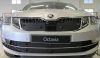 Trim/Protection Strip, radiator grille Skoda Octavia 2017-