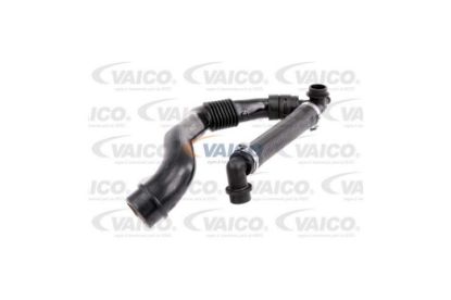 Hose, crankcase ventilation PASSAT Variant (3B6), A4 (8EC, B7)