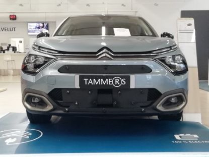 Trim/Protection Strip, radiator grille Citroen C4 21-