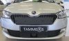 Trim/Protection Strip, radiator grille Skoda Fabia 20-