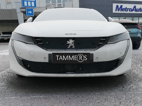 Trim/Protection Strip, radiator grille Peugeot 508 20-