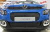 Trim/Protection Strip, radiator grille Citroen C3 2016-