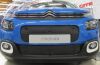 Trim/Protection Strip, radiator grille Citroen C3 2016-