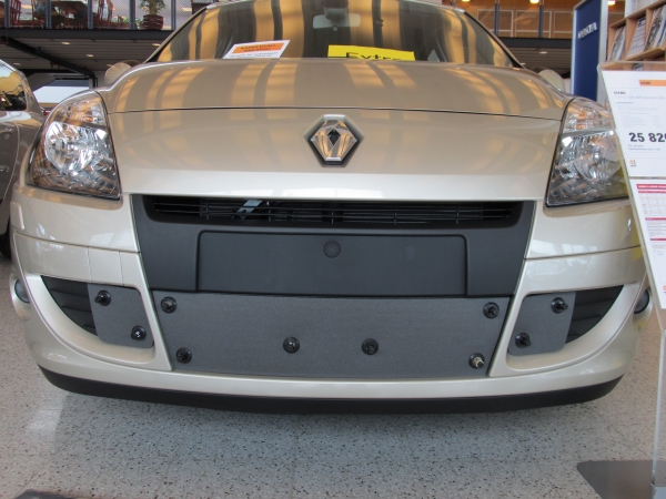 Trim/Protection Strip, radiator grille Renault Scenic 2009-2012